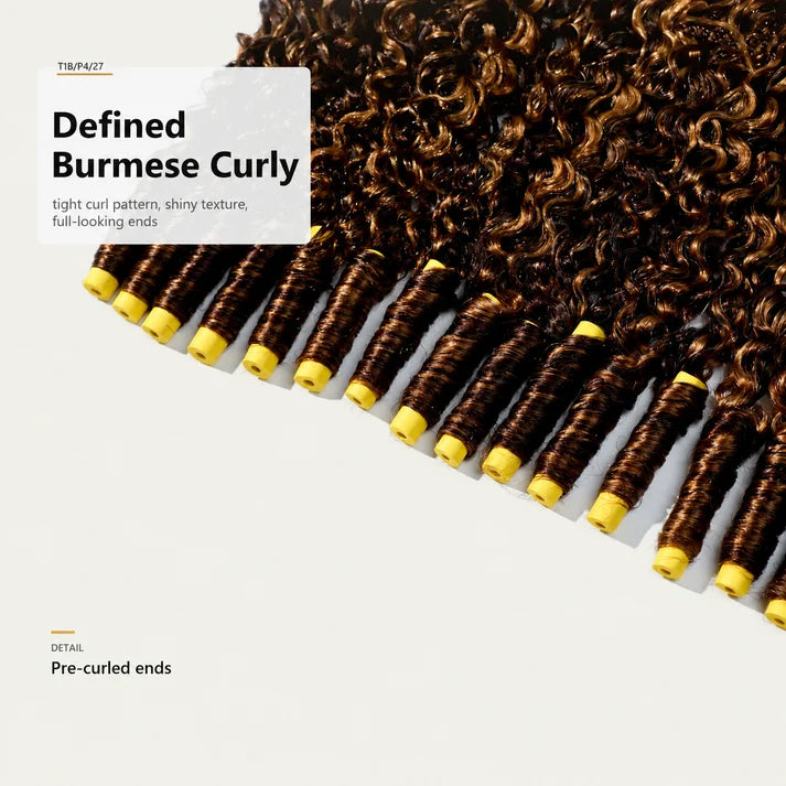 Burmese Curly 100% Virgin Hair Bundles #T1B/P4/27